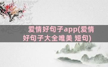 爱情好句子app(爱情好句子大全唯美 短句)